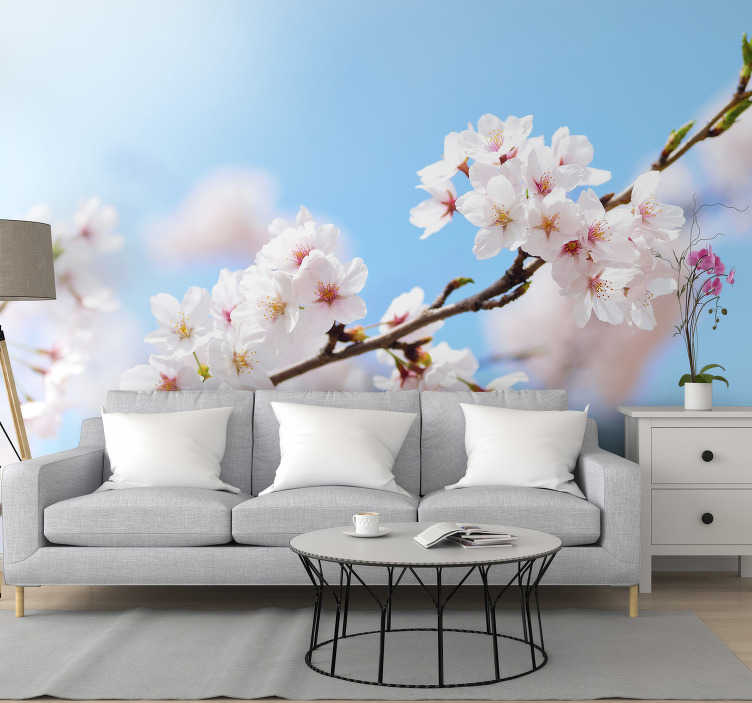 Papier peint mural fleur de cerisier blanc