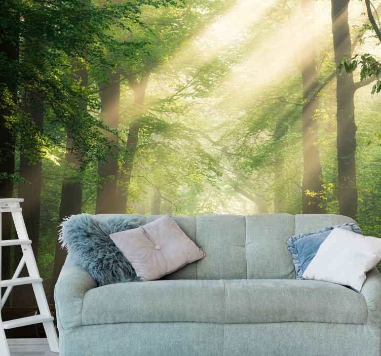 Papier peint nature soleil entre les arbres - TenStickers