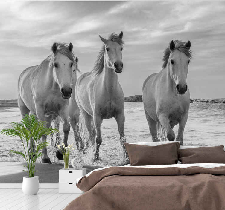 Horse animal photomural wallpaper for adolescents room walls 