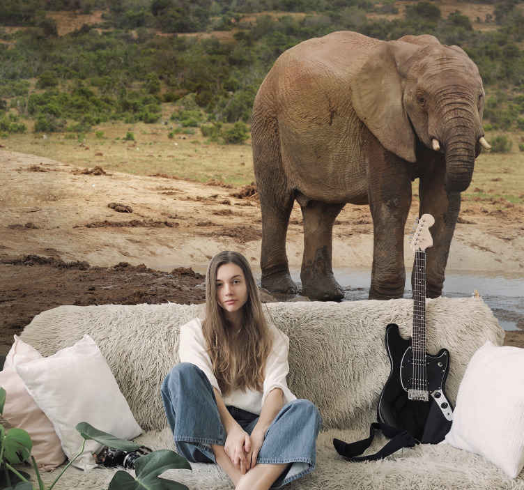 Elephant Encounter animals wall mural - TenStickers