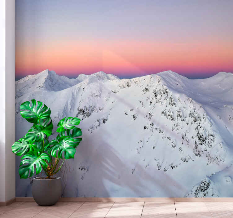 Paltinu Mountain Wall Mural Tenstickers