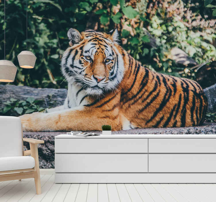 Tigre 3d em papel de parede fotomural vinílico de parede - TenStickers