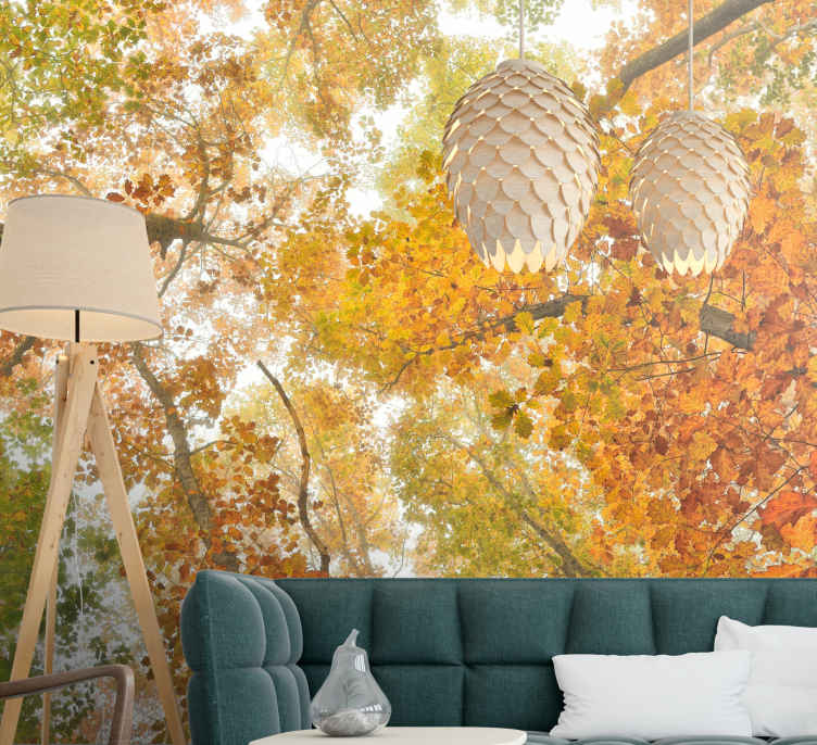 Autum forest nature wall mural - TenStickers