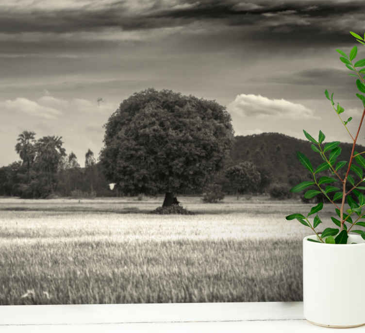 Garden of eden nature wall mural - TenStickers