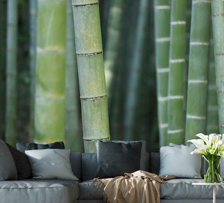 Hermosas ideas para decorar con bambú  Decoración de unas, Ideas de bambú,  Cañas de bambu decoracion