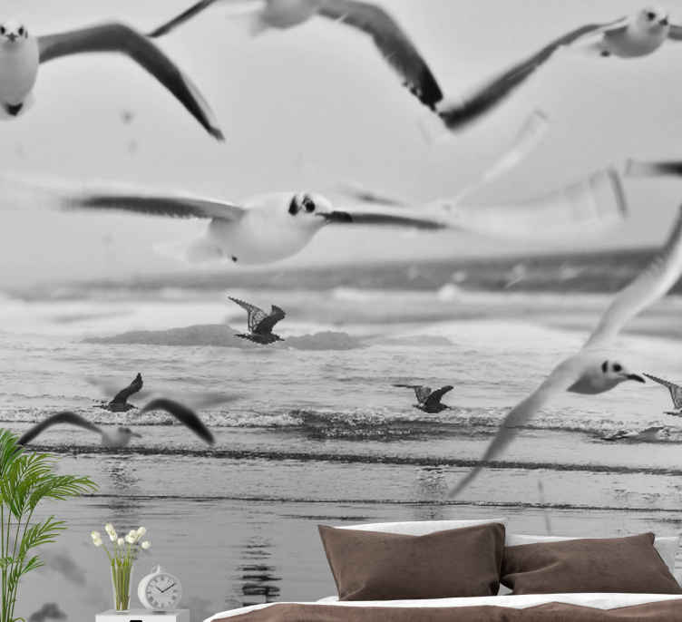Fototapet animale pescăruși peste ocean - TenStickers