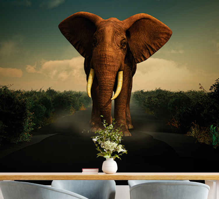 Details about   3D Elephant Horse G082 Animal Wallpaper Mural Poster Wall Stickers Decal Wendy