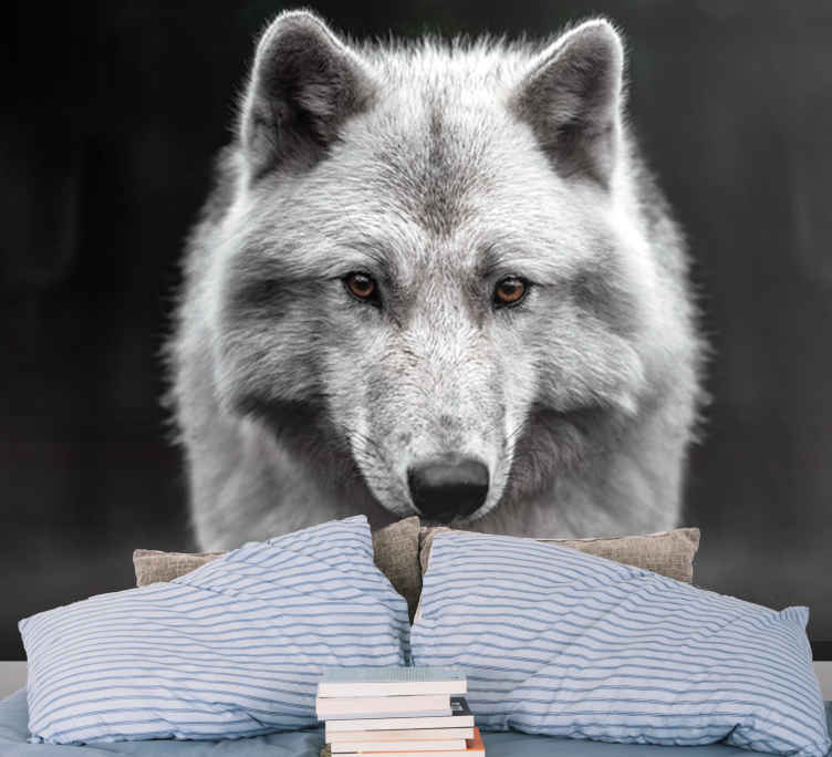 White Wolf at the Night Wallpaper Mural Photo 25313471 premium paper 