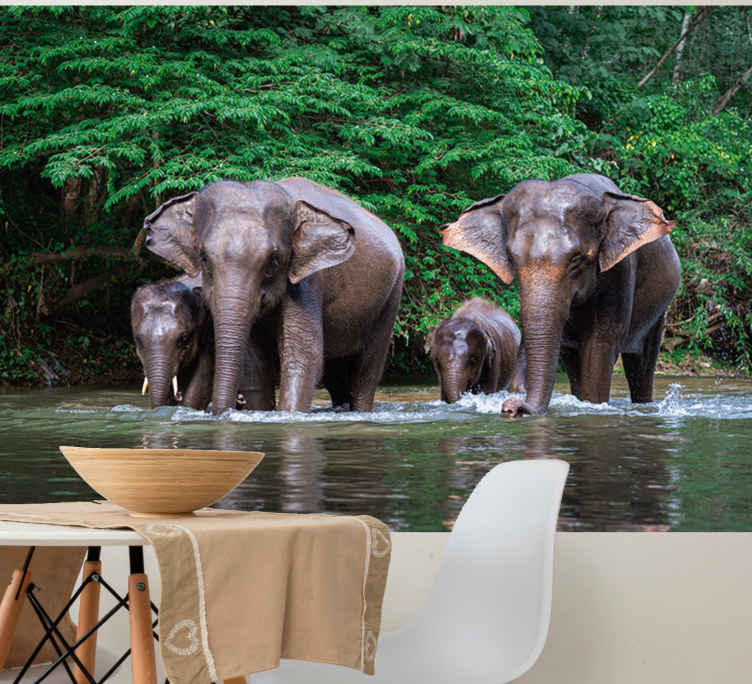 Jungle with elephants mural wallpaper TenStickers