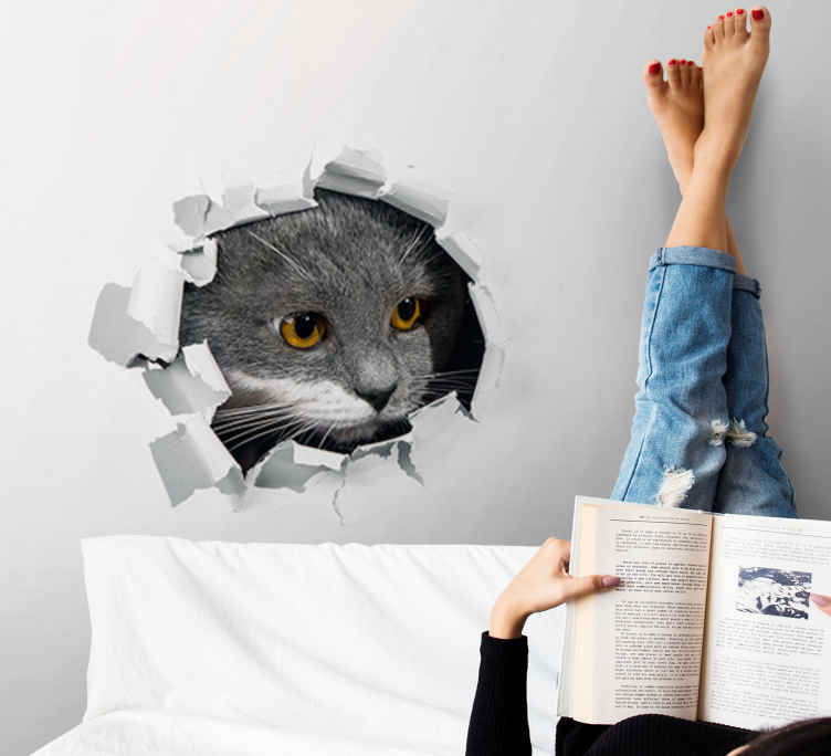 Cat Wallpaper Mural for Home Decor  Cat Print Wallpaper UK