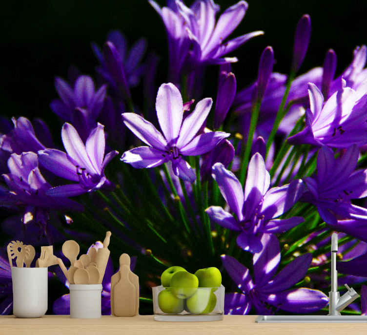 Fotomurales decorativos para cocinas Flores moradas - TenVinilo