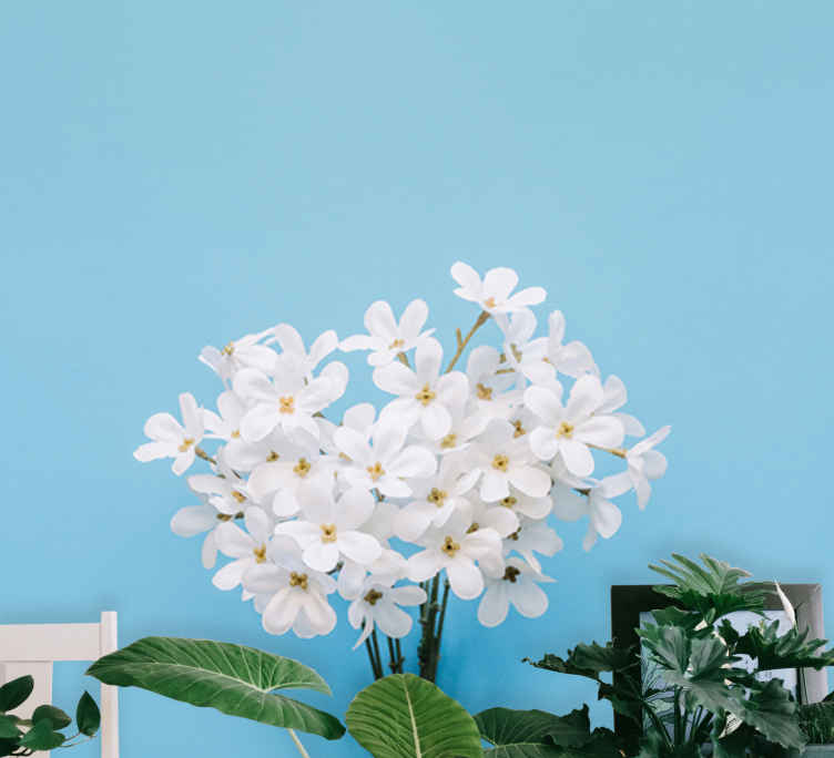 Fotomurali azzurro Jazmin sfondo blu