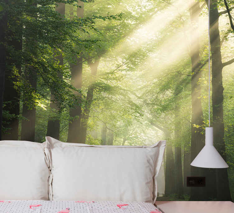 Fotomurale paesaggi Albero con flash di sole