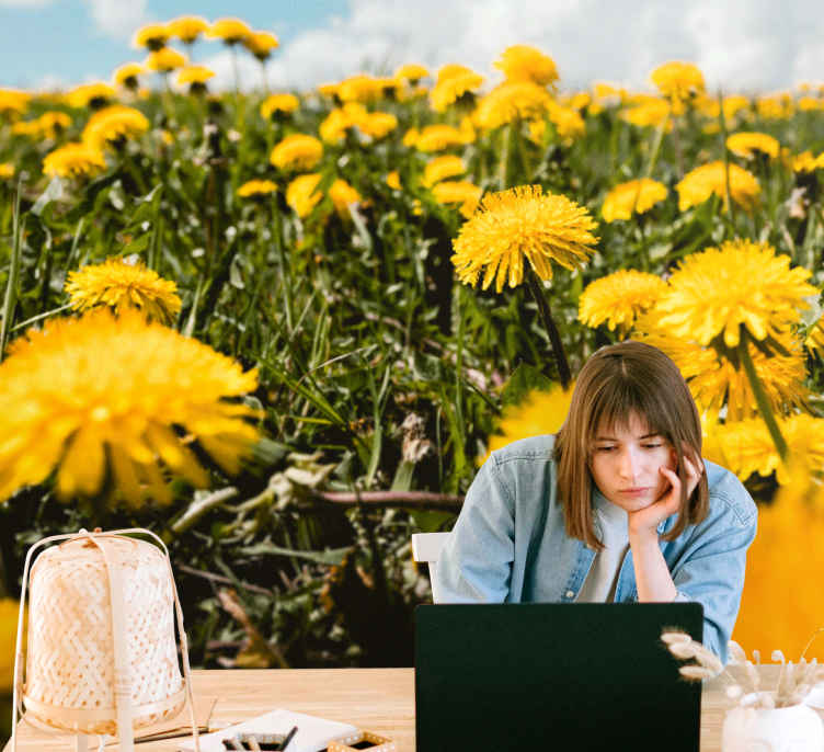 Fotomurali Tarassaco campo giallo