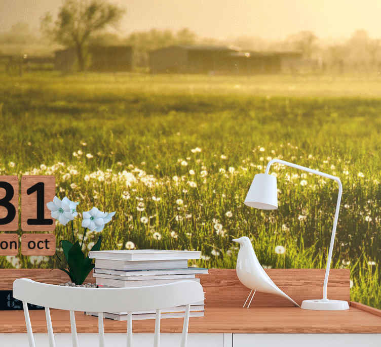 Fotomurali Tarassaco grande campo