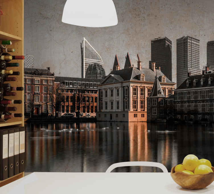 Netherlands the Hague city centre wall mural - TenStickers