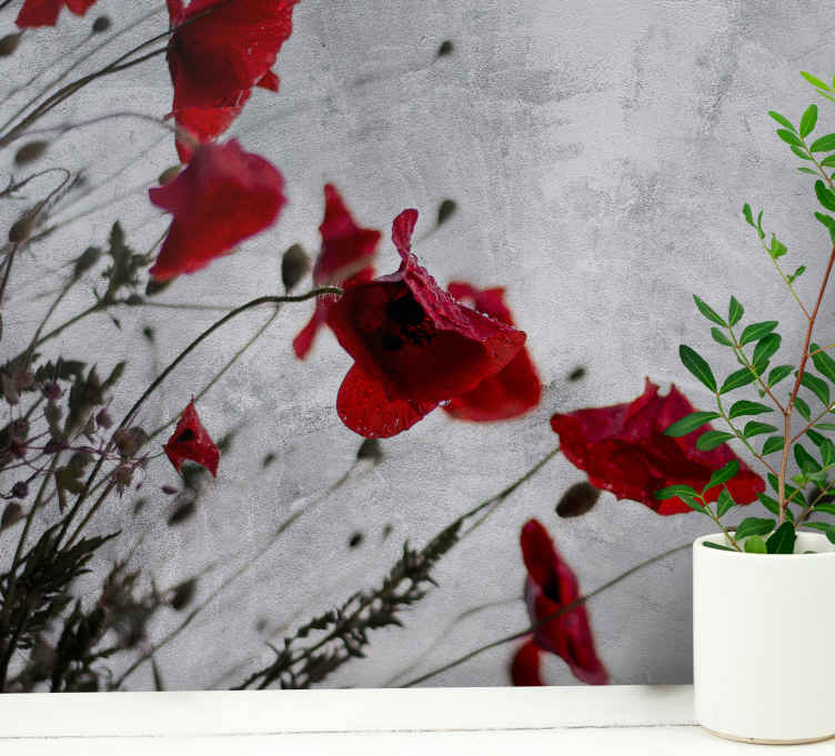 Fotomurale papaveri rossi eleganti - TenStickers