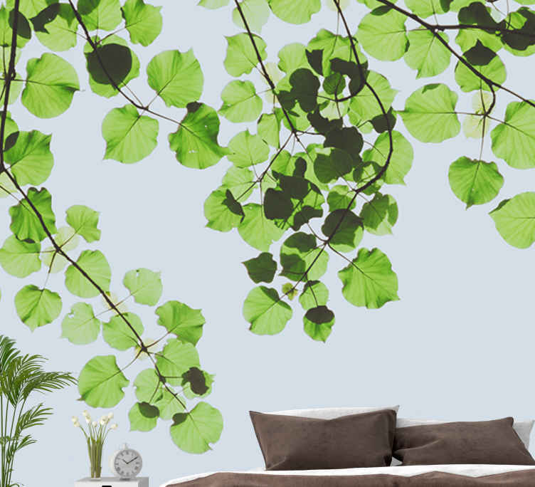 Fotomurale paesaggi Foglie verdi al sole