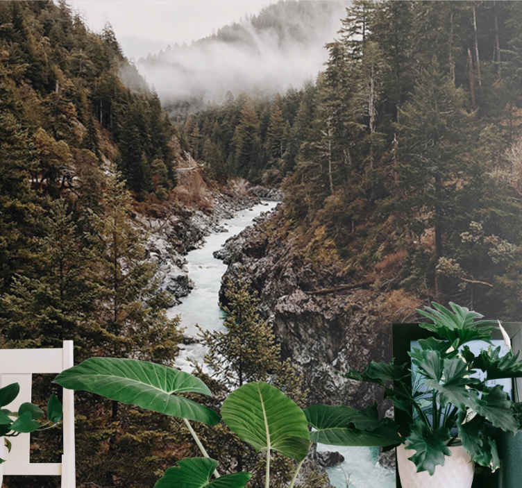 Fotomurale paesaggi Nebbia umida con alberi