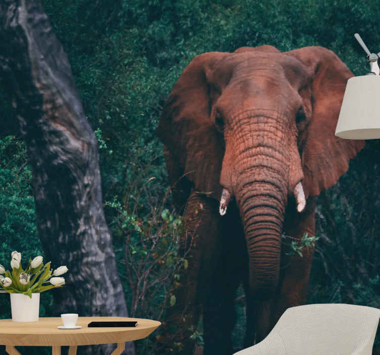 Murales per camera Mammut marrone ione della giungla