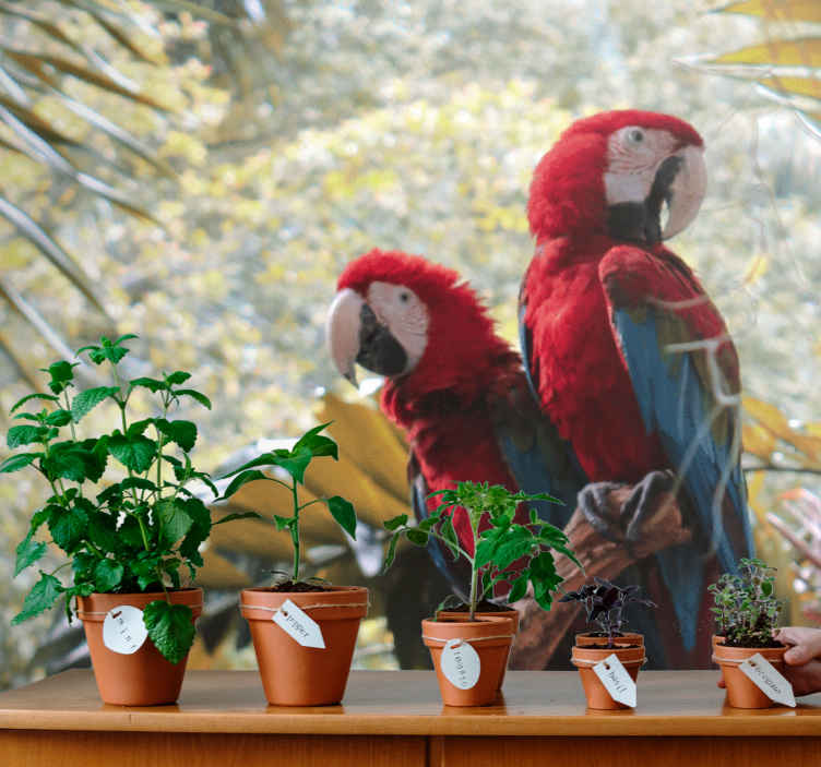 Mural de animales loro guacamayo escarlata pareja - TenVinilo