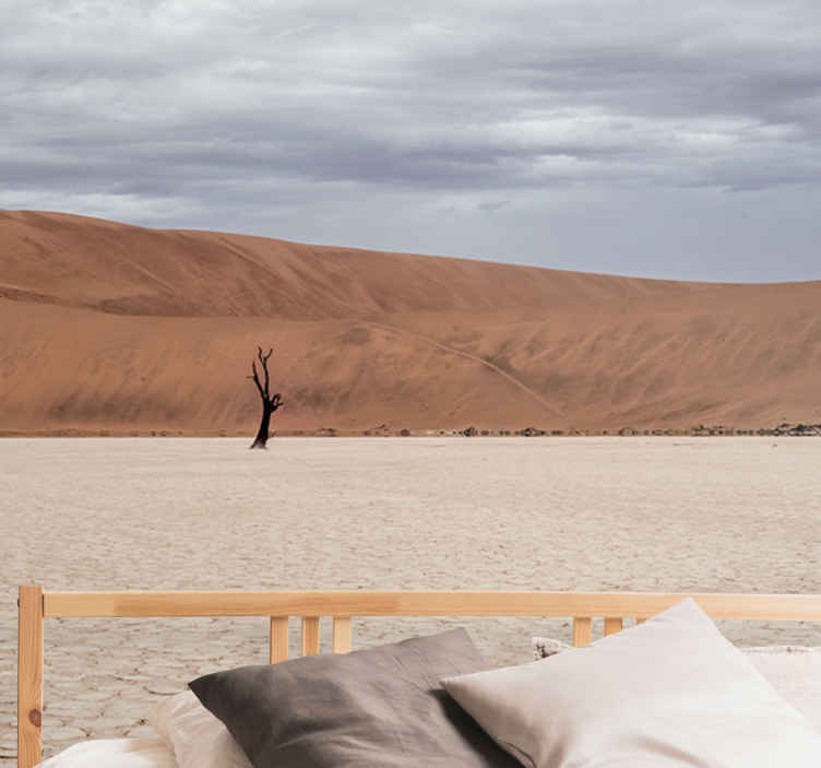 Wall mural mountain desert landscape view - TenStickers