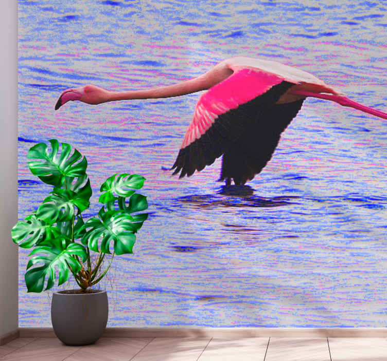 Beautiful pink flamingo in water Hallway Wall Mural