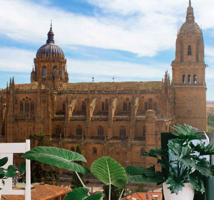 carta da parati citta del mondo Piazza principale di salamanca