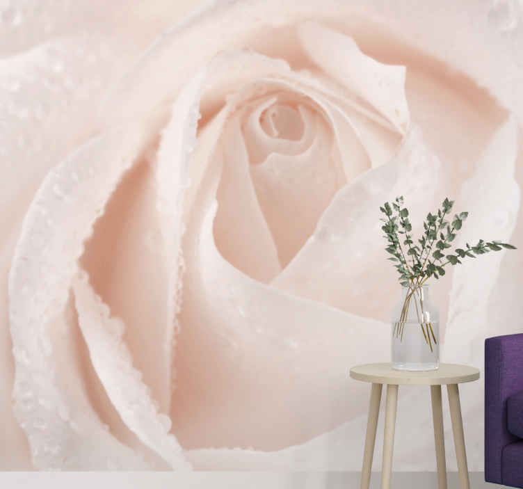 Beautiful white rose flower mural - TenStickers