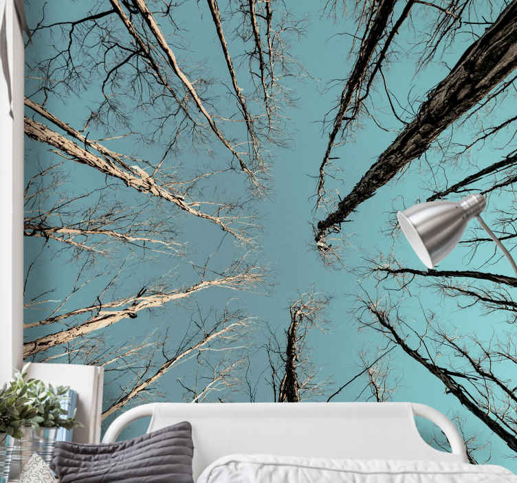 Fotomural naturaleza Ramas de los árboles con el cielo - TenVinilo