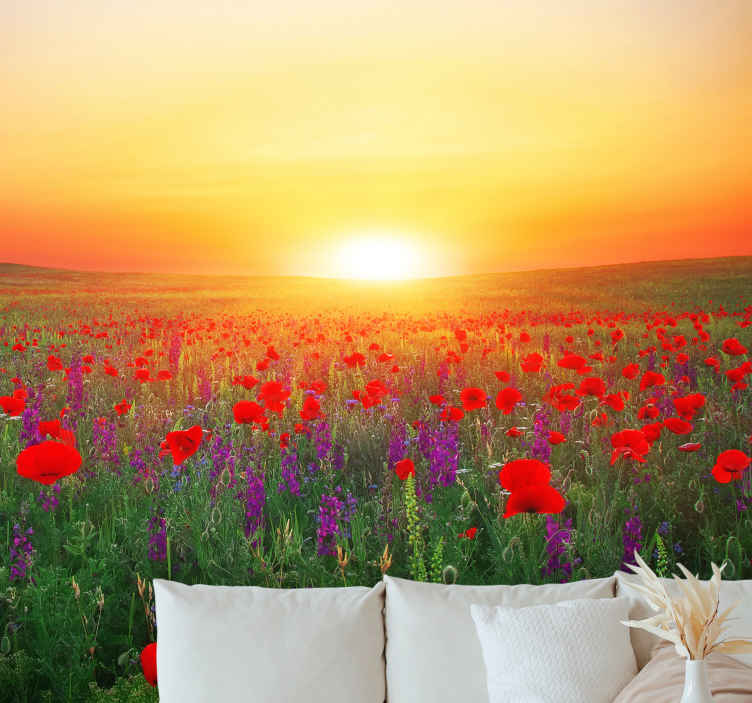 Tapisserie murale coquelicots coucher de soleil doré - TenStickers