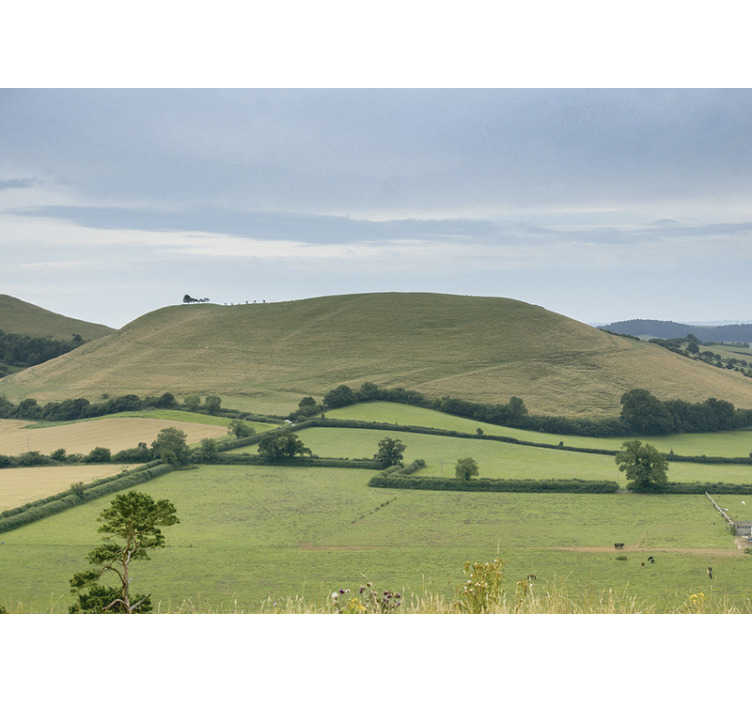 Somerset countryside living room wallpaper - TenStickers