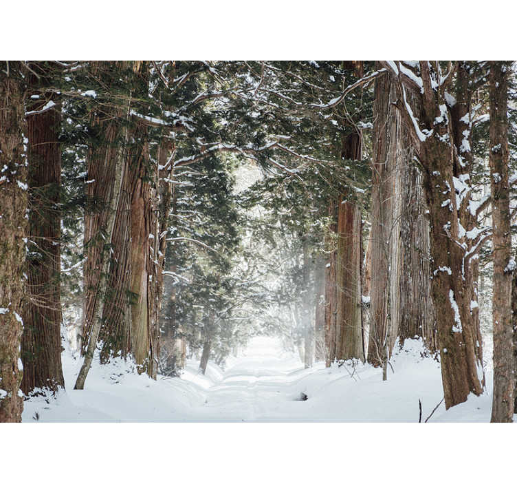 Bosque Árboles invierno nieve Nat Completo Mural de Pared Foto Wallpaper impresión hogar Calcomanía 3D
