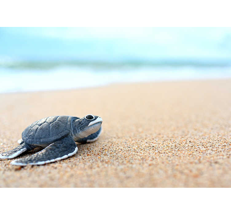 Erradicar tubo Óptima Foto mural animales tortuga bebé playa blanca - TenVinilo