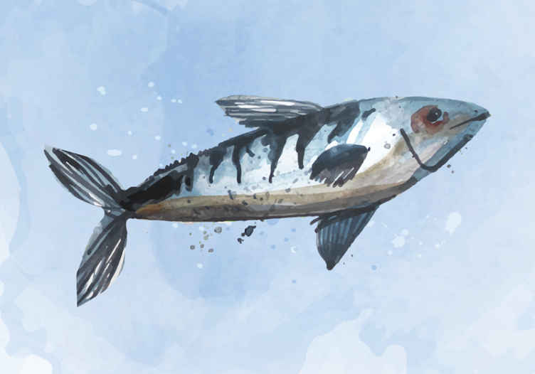 抽象的な海の食べ物動物の壁の壁画 - TENSTICKERS