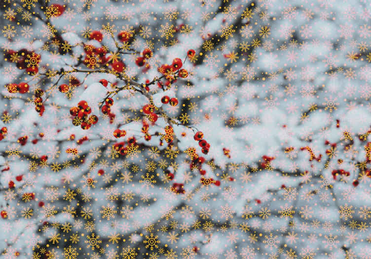 寝室のためのクリスマスの雪の壁の壁画 - TENSTICKERS
