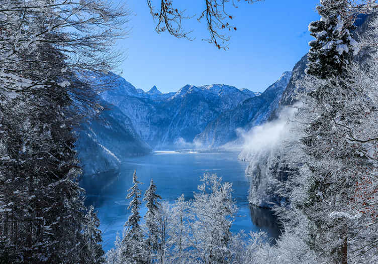 Fotomural lago helado y bosque con bruma - TenVinilo