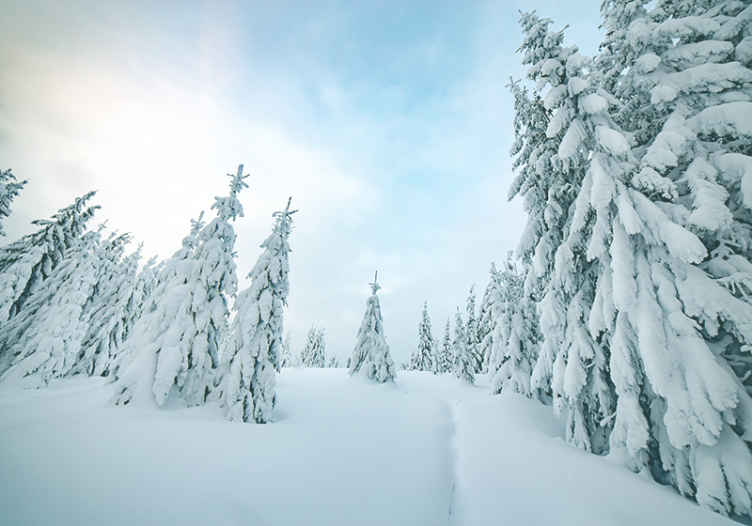 Talven ihmemaa valokuvatapetti luonto - Tenstickers