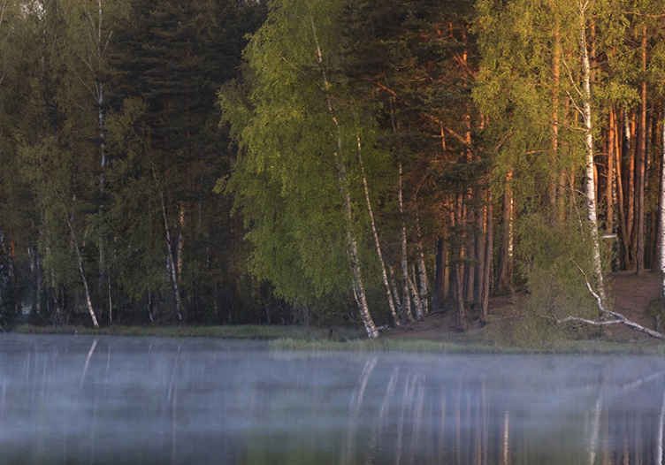 Sumu tulossa järven tapetti kuvalla valokuvatapetti luonto - Tenstickers