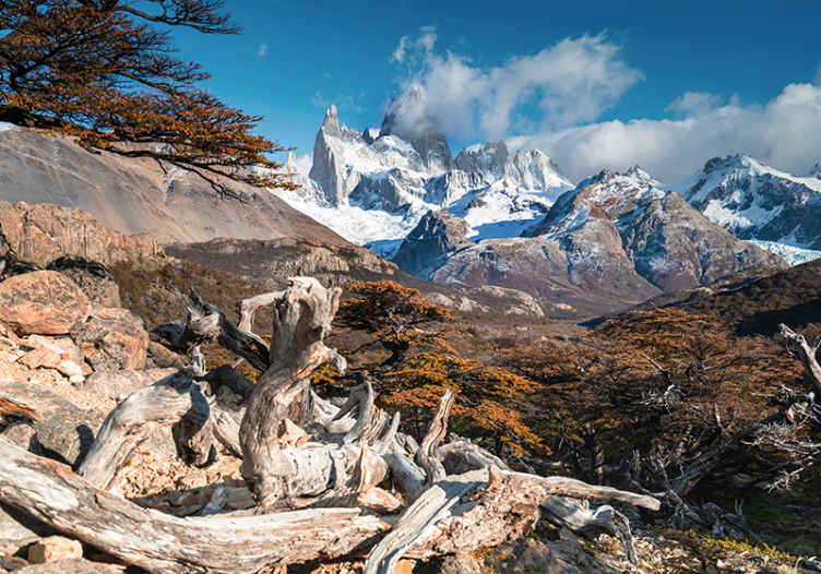 Fotomural naturaleza El chalten en otoño hermoso paisaje - TenVinilo