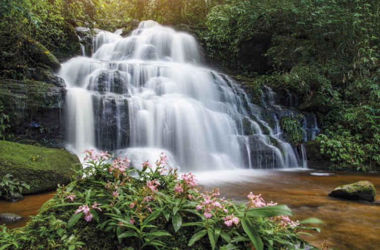 Wall mural waterfall lush waterfall scene - TenStickers