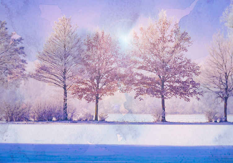 Wall mural nature winter woodland scene - TenStickers