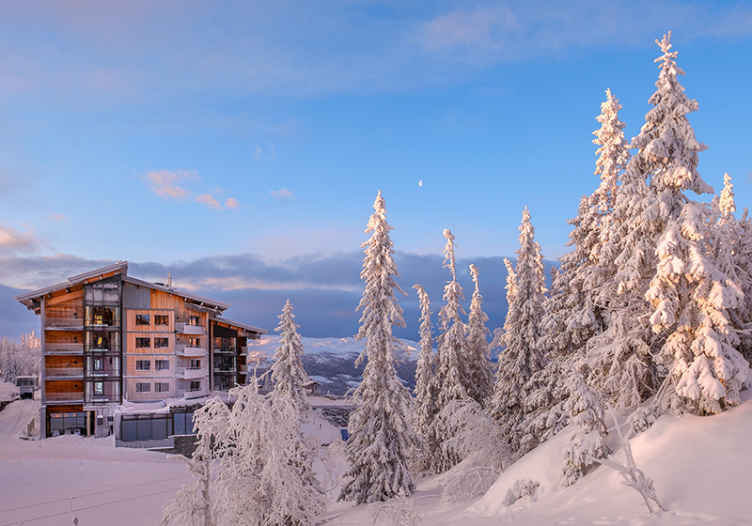 Rakennus metsässä valokuvatapetti metsä - Tenstickers