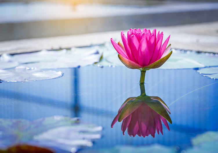 Fotomural efecto 3D flor color lila - TenVinilo