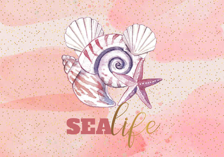 Under the sea wall mural of seashells and starfish - TenStickers