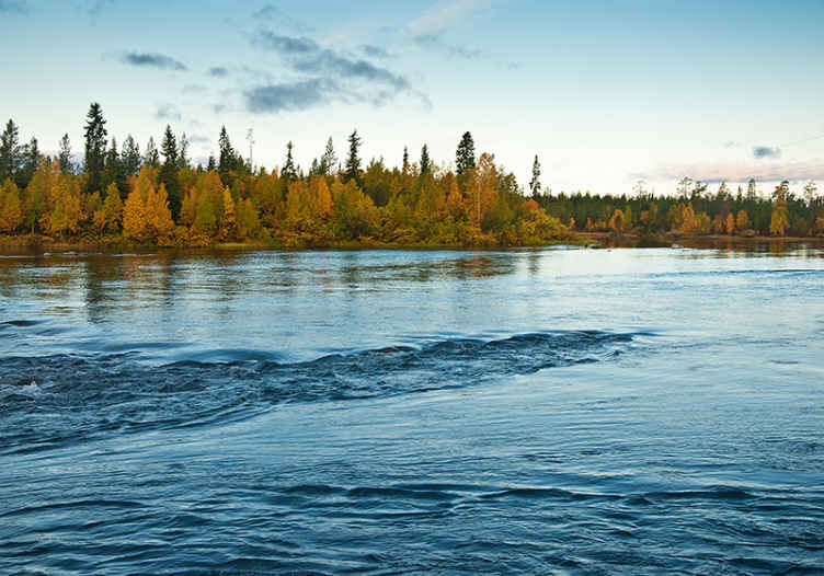 Suomalainen metsä ja joki valokuvatapetti järvi - Tenstickers