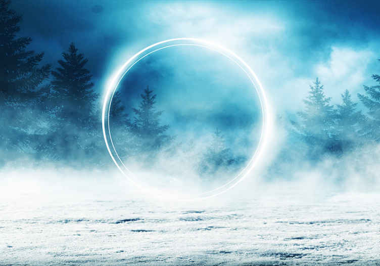 Halo ja lumiset puut valokuvatapetti metsä - Tenstickers