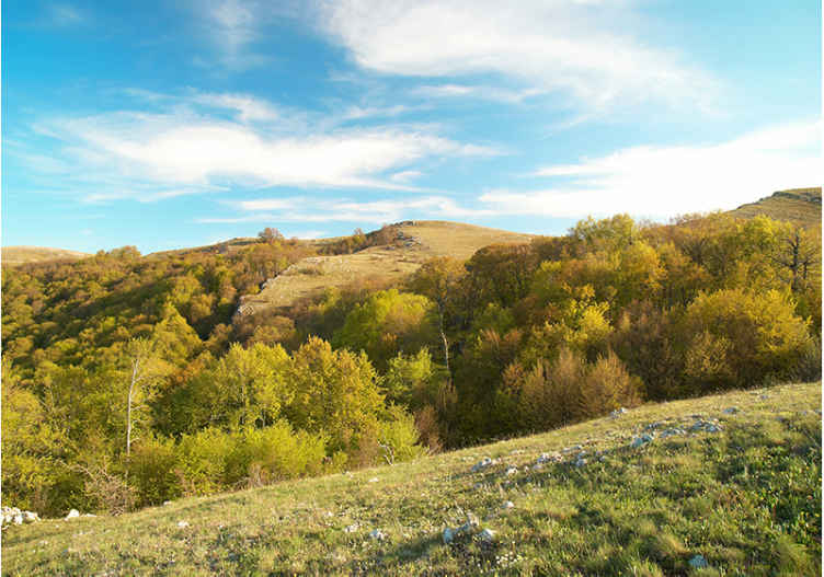 Landscape wall mural rolling hill scene - TenStickers