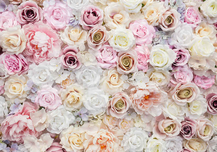 Details about  / Fotomural vinyl flowers roses show original title