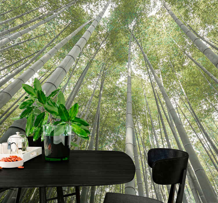 Mural de parede bambu floresta alta de bambu - TenStickers